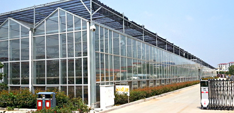 庫存強(qiáng)大